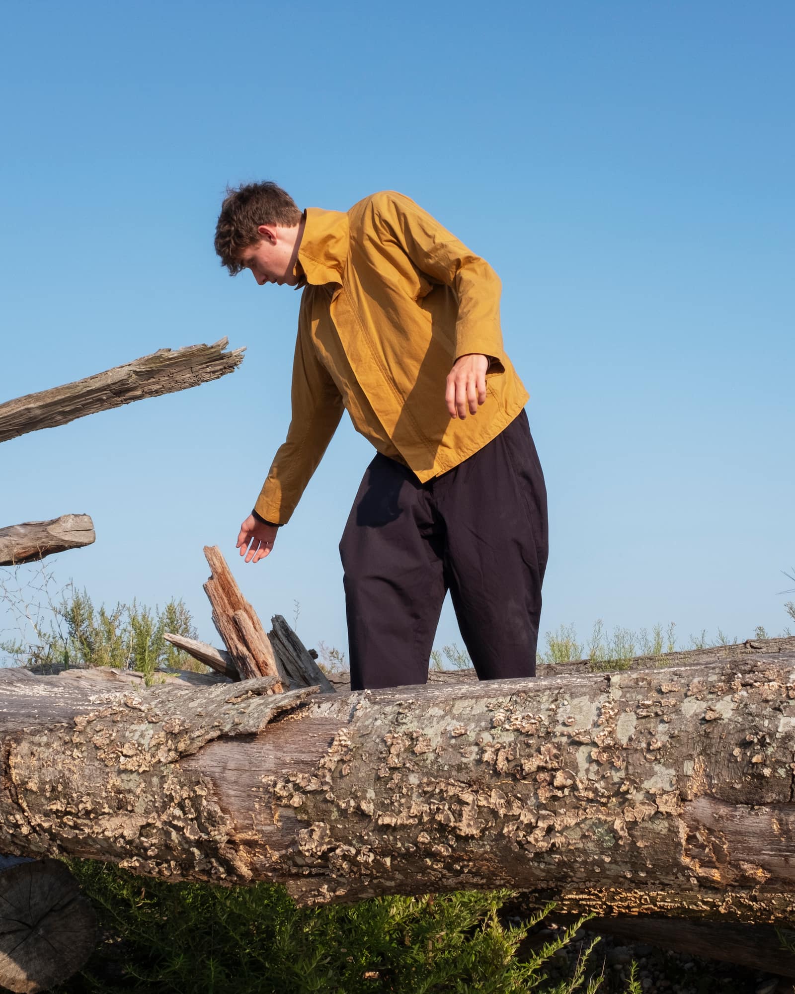 ハイネックジャケットシアドライナイロン – POSTALCO